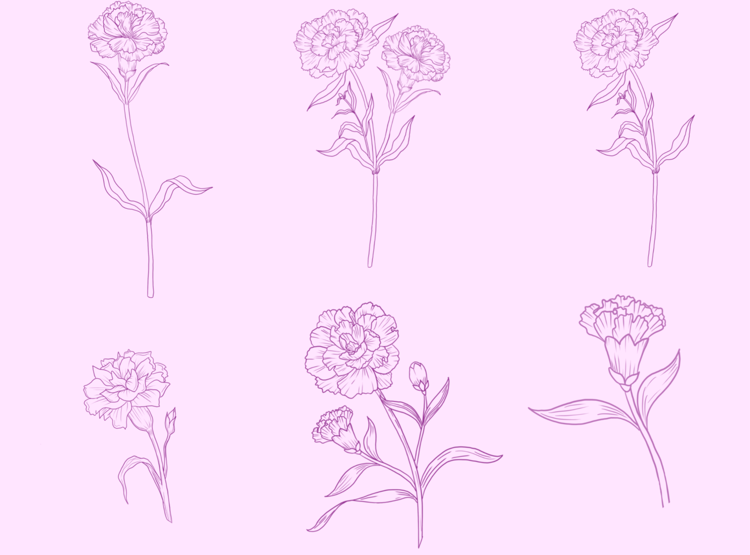 Carnation Stamps for Procreate - Payhip