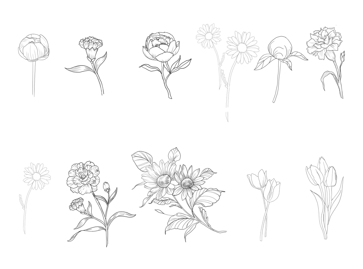 Floral Botanical Stamps for Procreate - Payhip