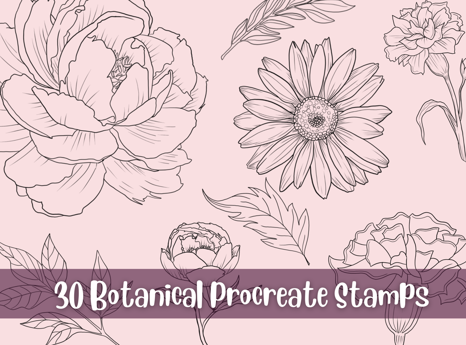 Floral Botanical Stamps for Procreate - Payhip