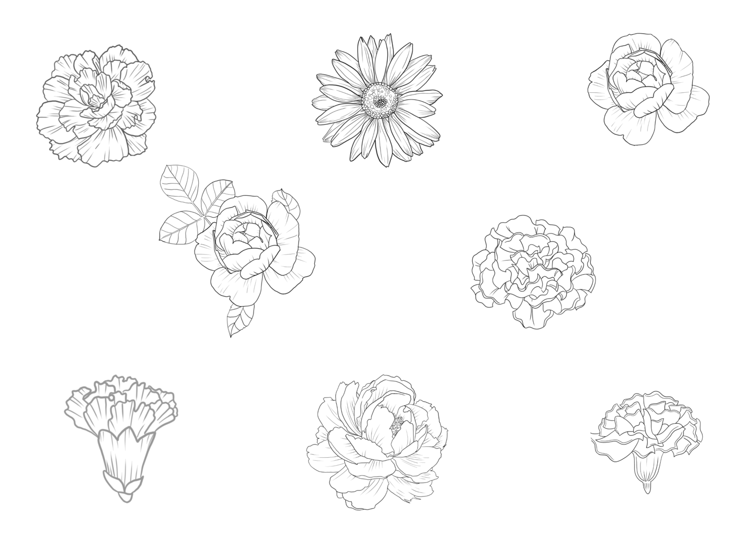 Botanic florals stamps, Flower stamps, Flower png