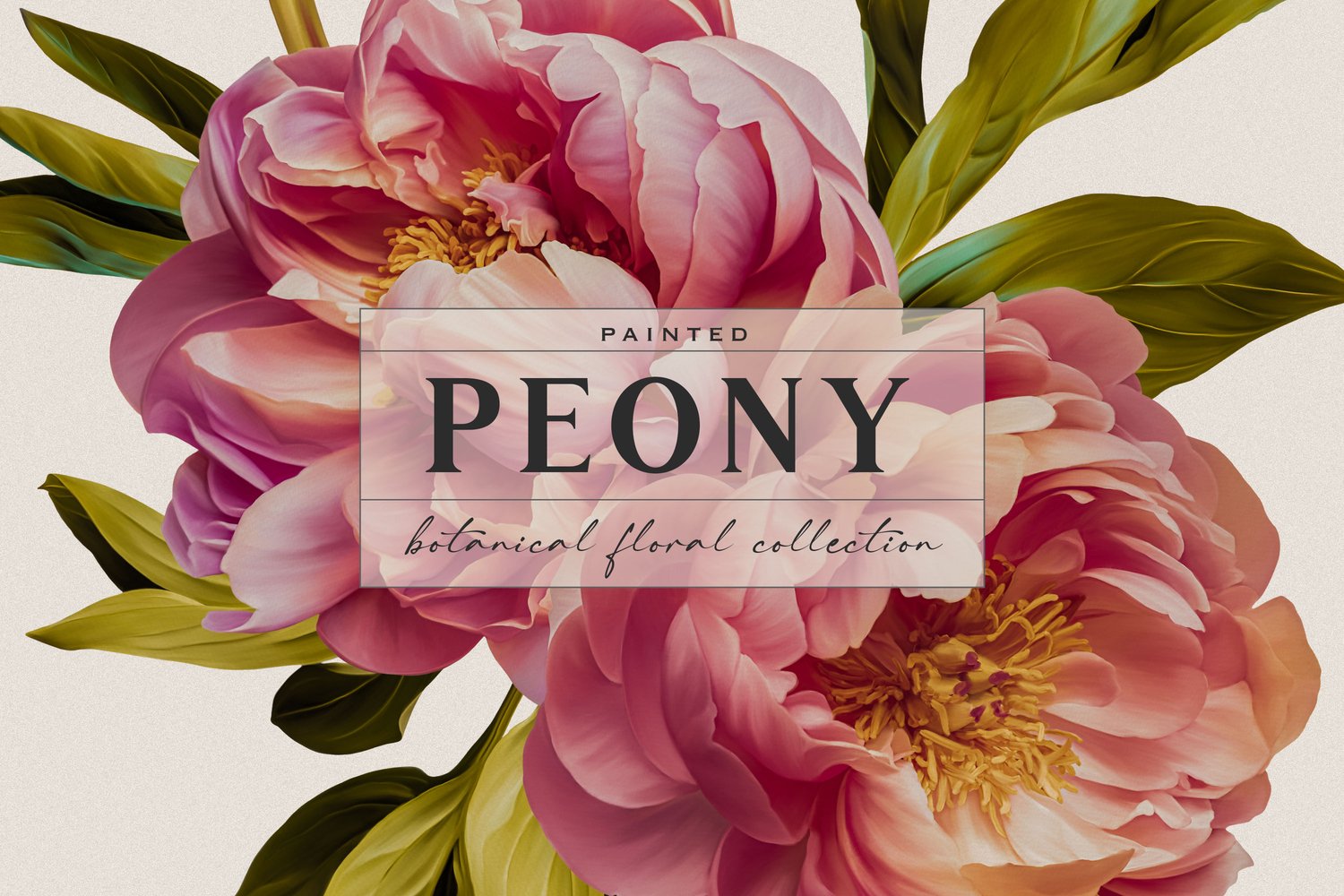 Hand painted pink peony flowers and leaf digital graphics