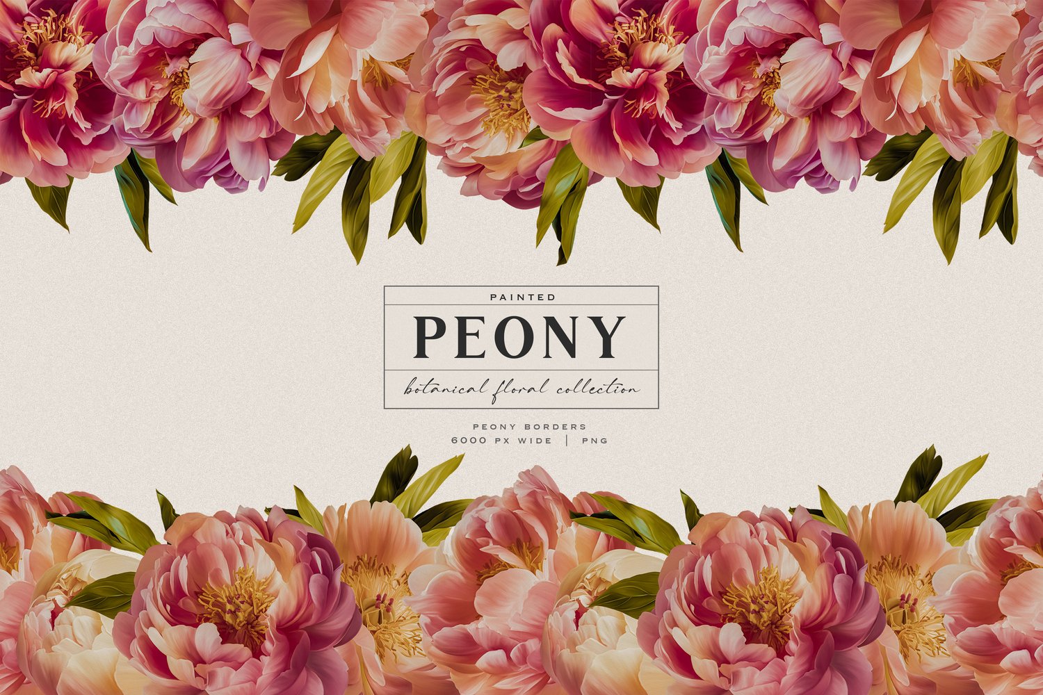 Hand painted pink peony flowers and leaf digital graphics