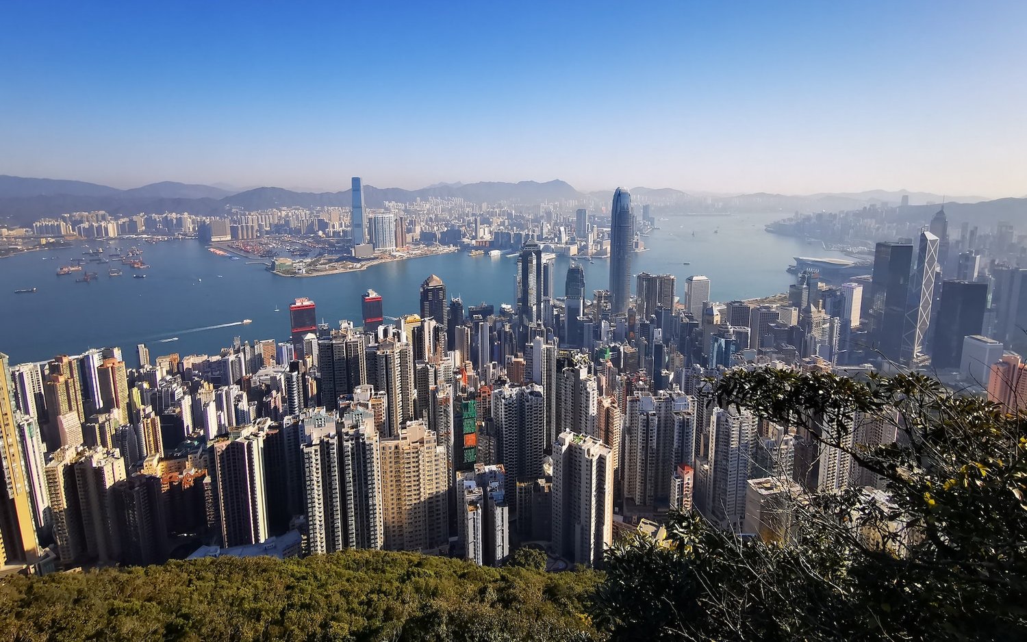 How to become a barrister in hong kong