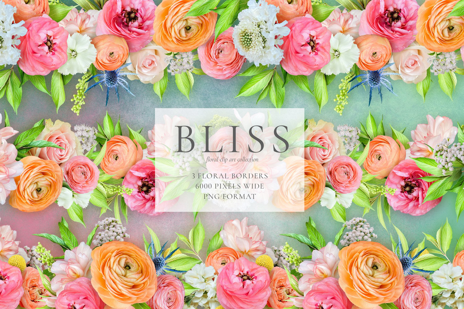 Realistic roses, ranunculus, begonias, scabiosas, and eryngium flower graphics in peach, yellow, blue, and pink
