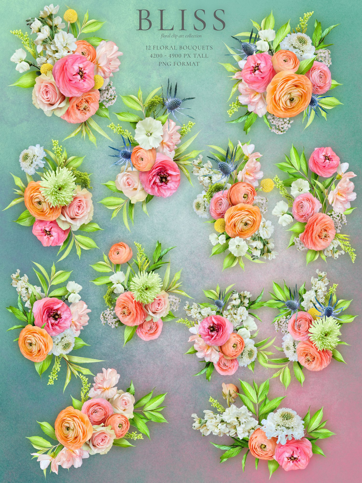 Realistic roses, ranunculus, begonias, scabiosas, and eryngium flower graphics in peach, yellow, blue, and pink