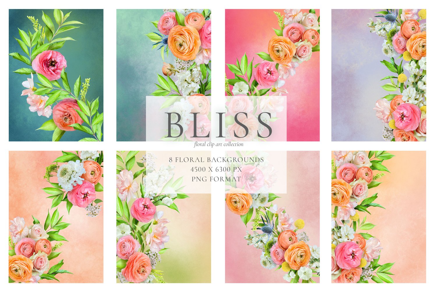 Realistic roses, ranunculus, begonias, scabiosas, and eryngium flower graphics in peach, yellow, blue, and pink
