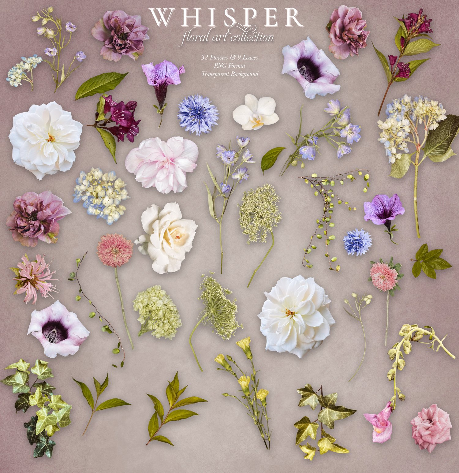 Realistic rose, petunia, weigela, Queen Anne's lace, cornflower, and hydrangea flower graphics in lavender, purple, yellow, pink, and white