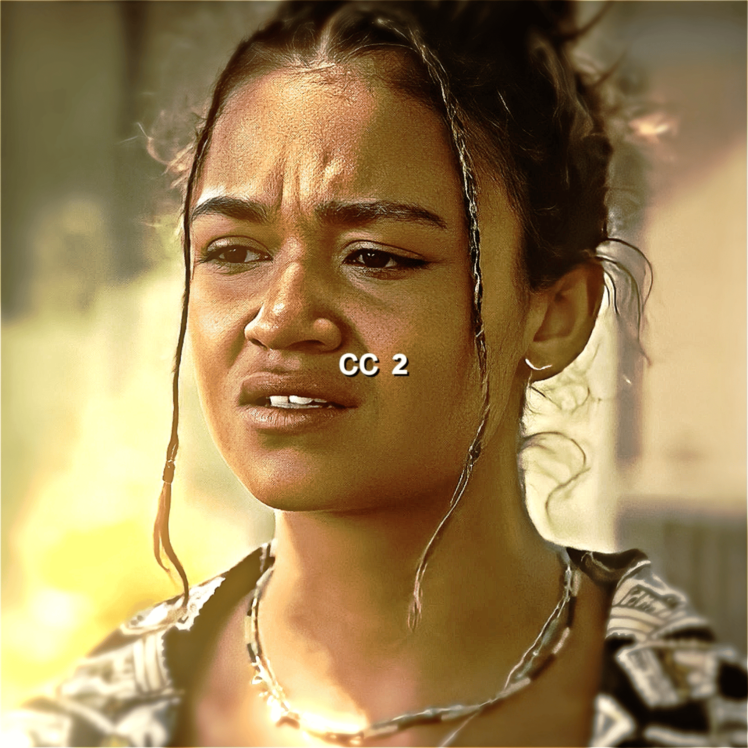 cc 2 - Payhip