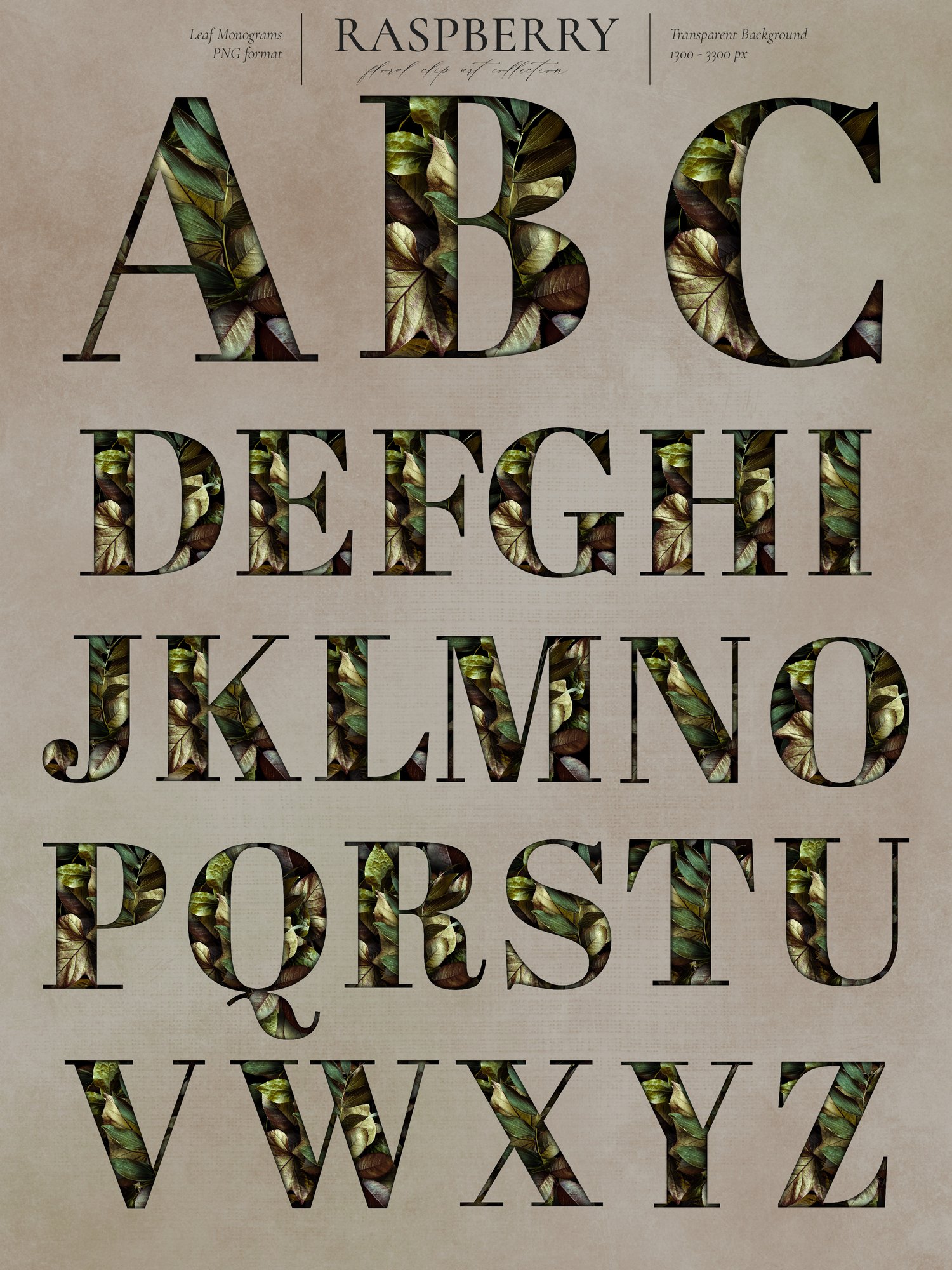 Botanical leaf alphabet graphics