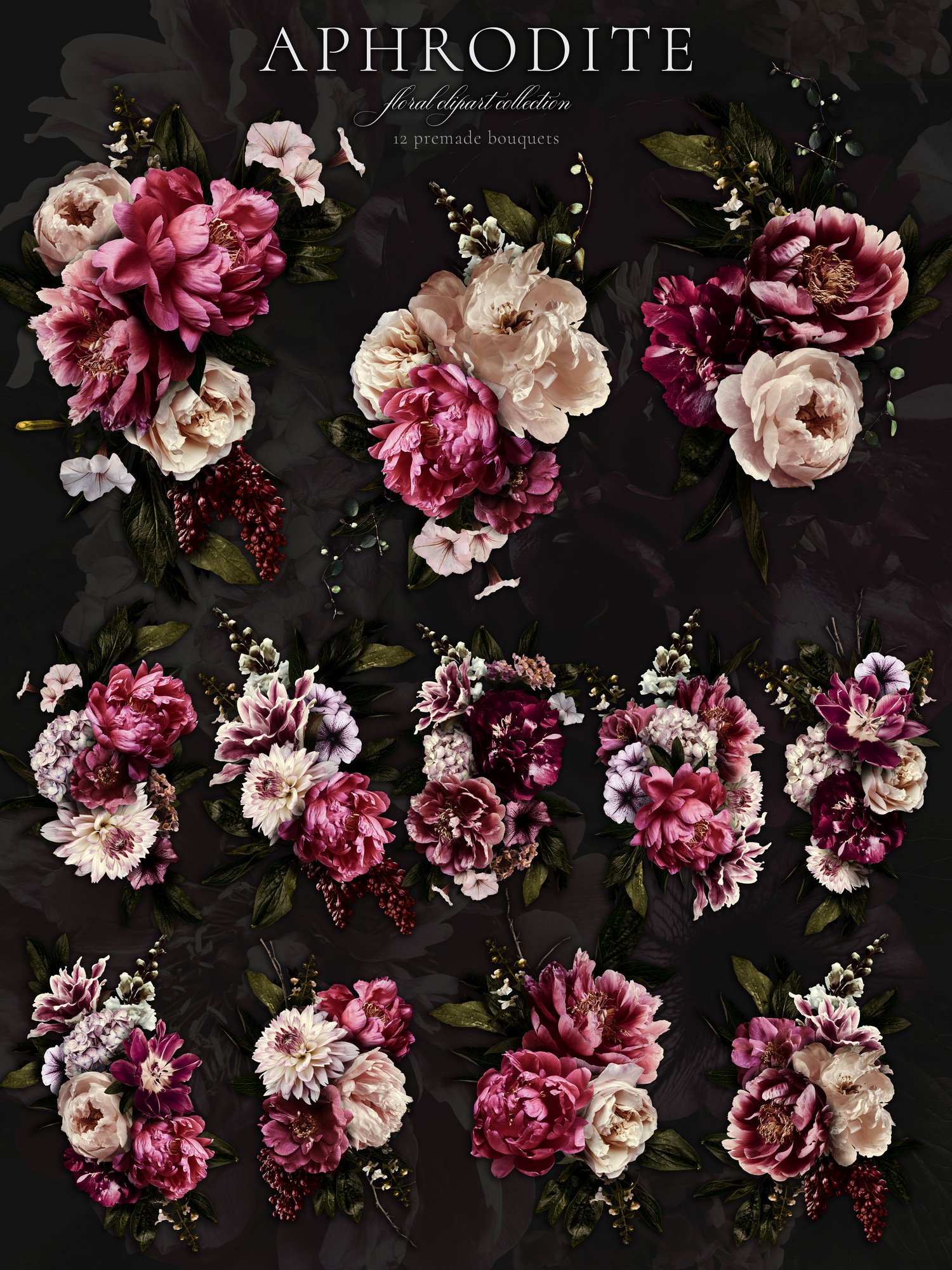 dark and moody set of peony, rose, petunia, and lilac flower graphics in dark pink