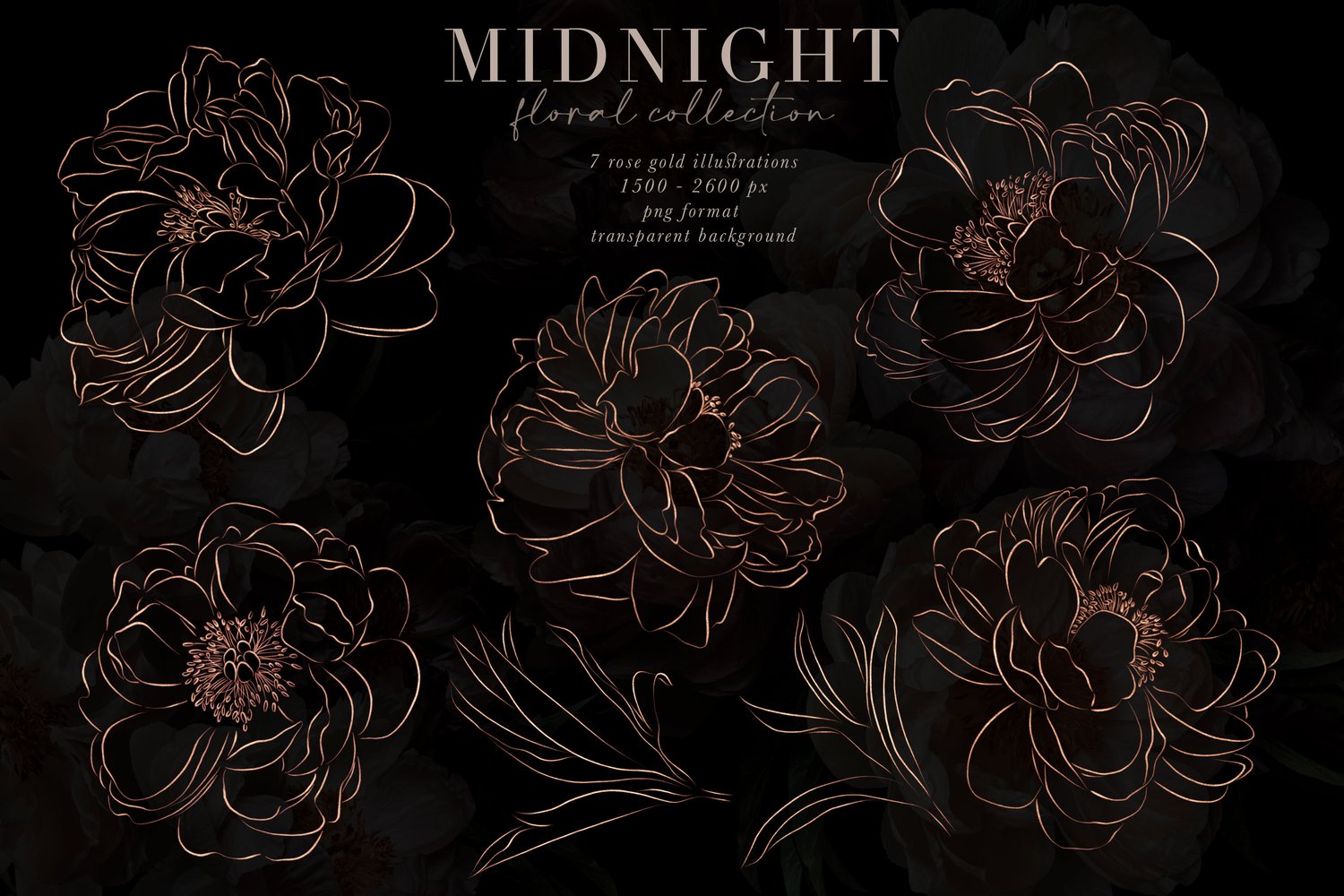dark and moody set of peony flower graphics