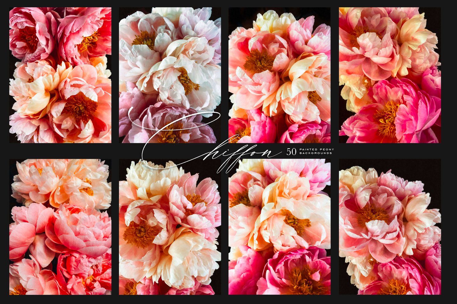 Painted Peony Backgrounds