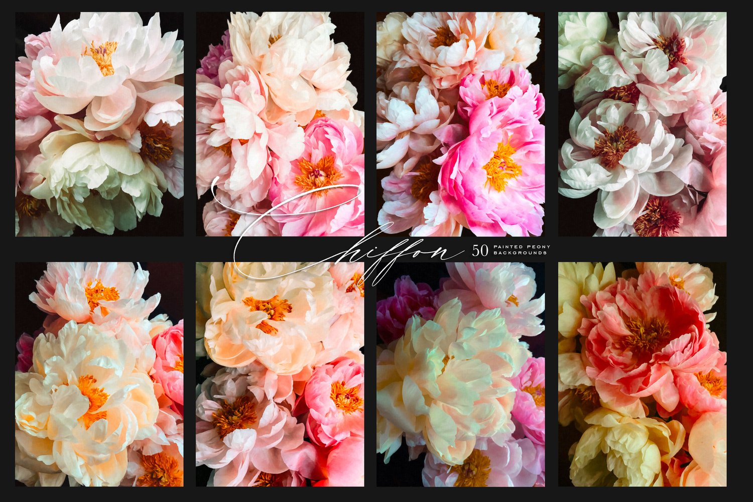 Painted Peony Backgrounds