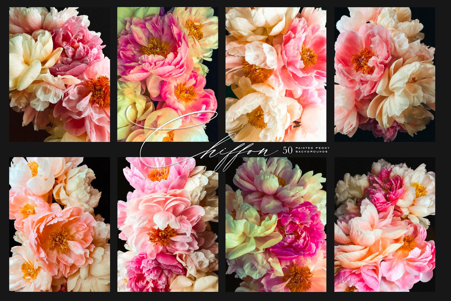 Painted Peony Backgrounds