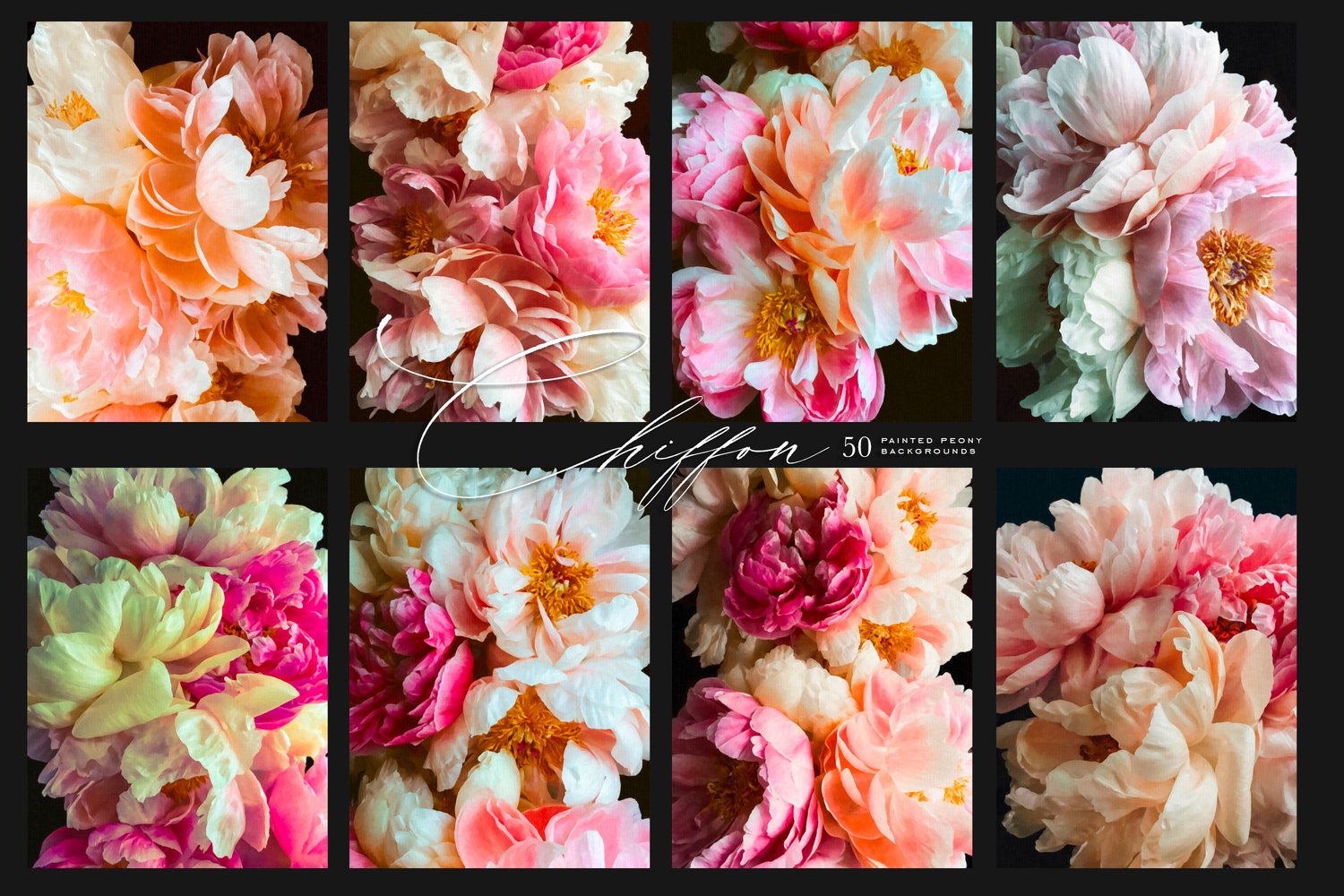 Painted Peony Backgrounds