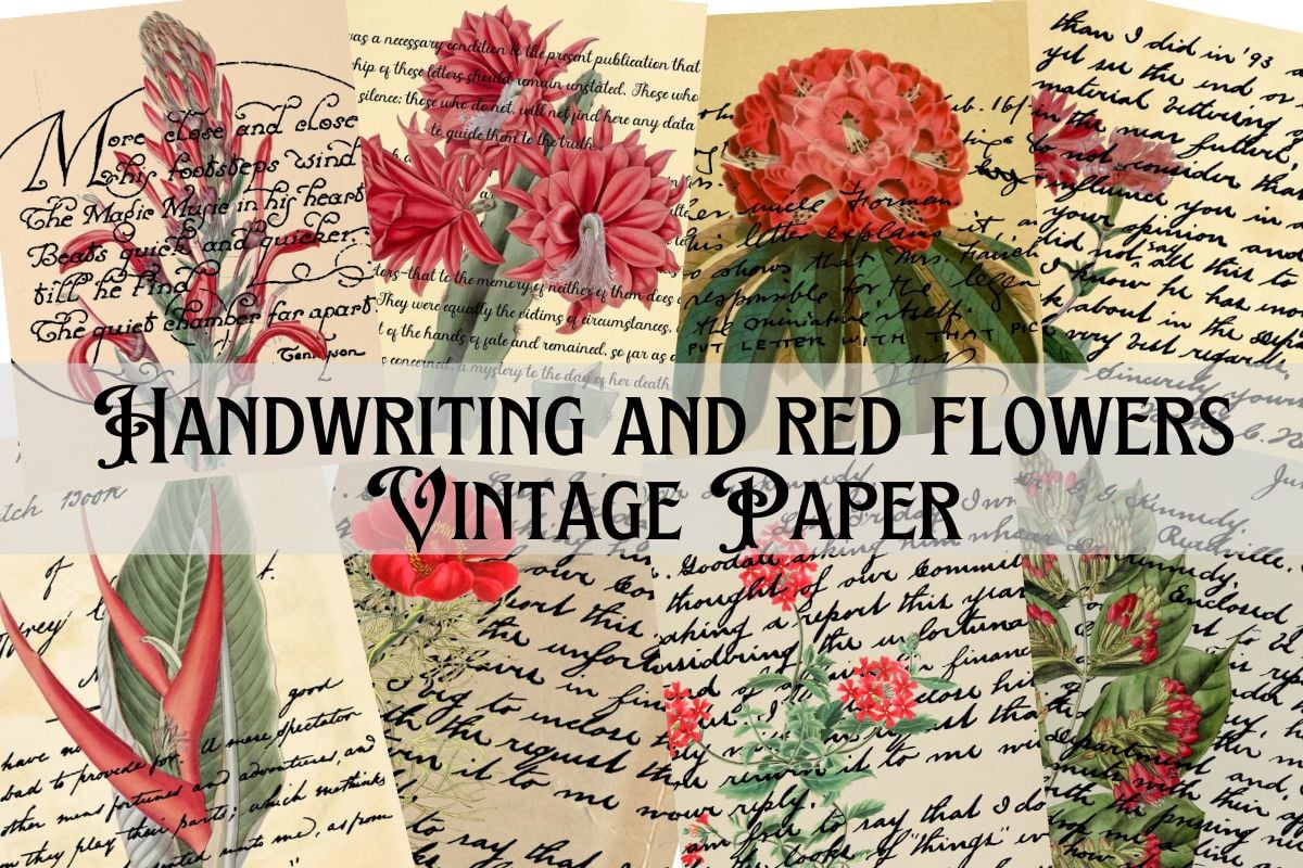 Wildflowers Printable Stationery,Vintage Letter set