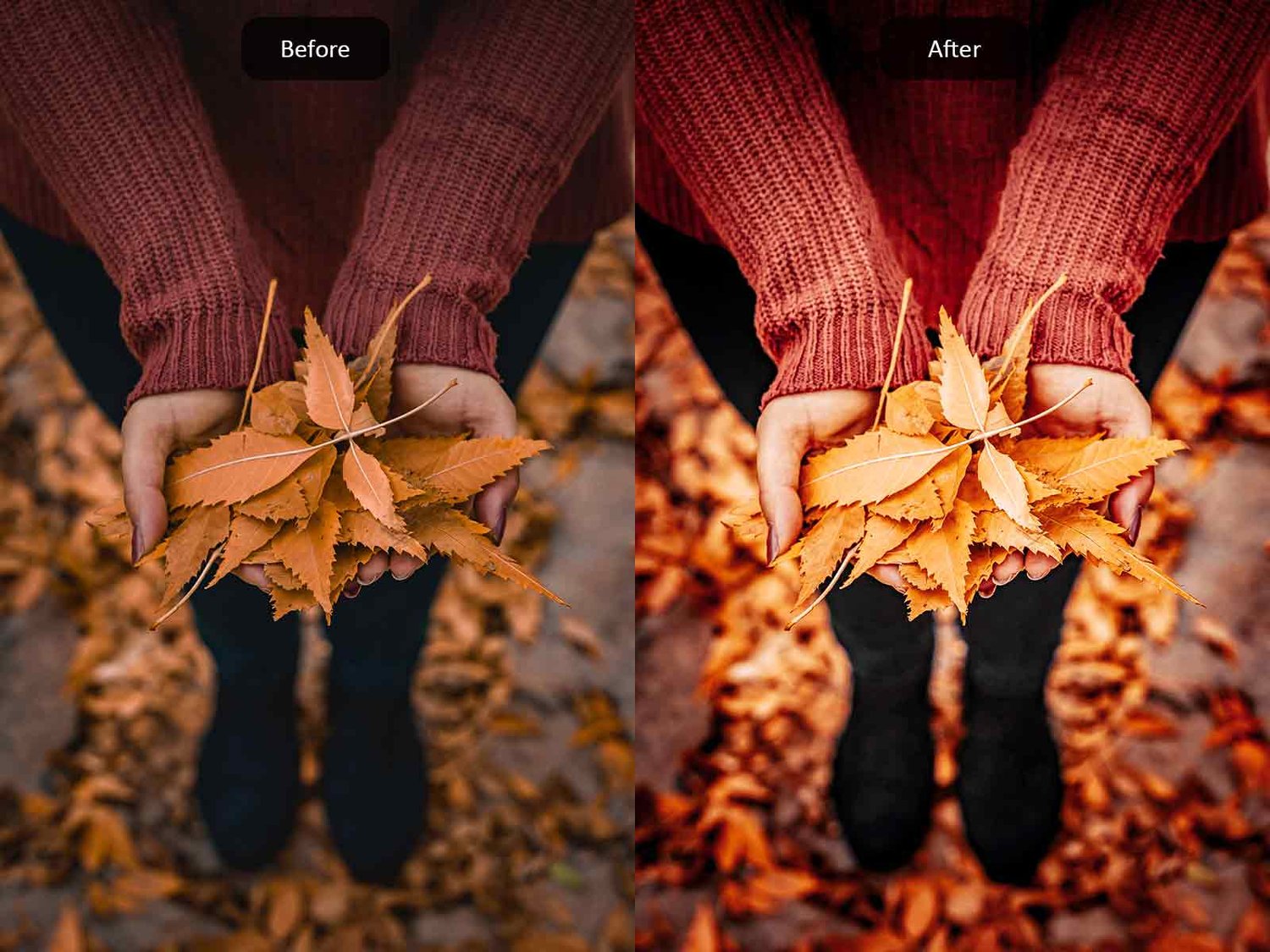 Autumn Colors - Lightroom Presets - Before-After