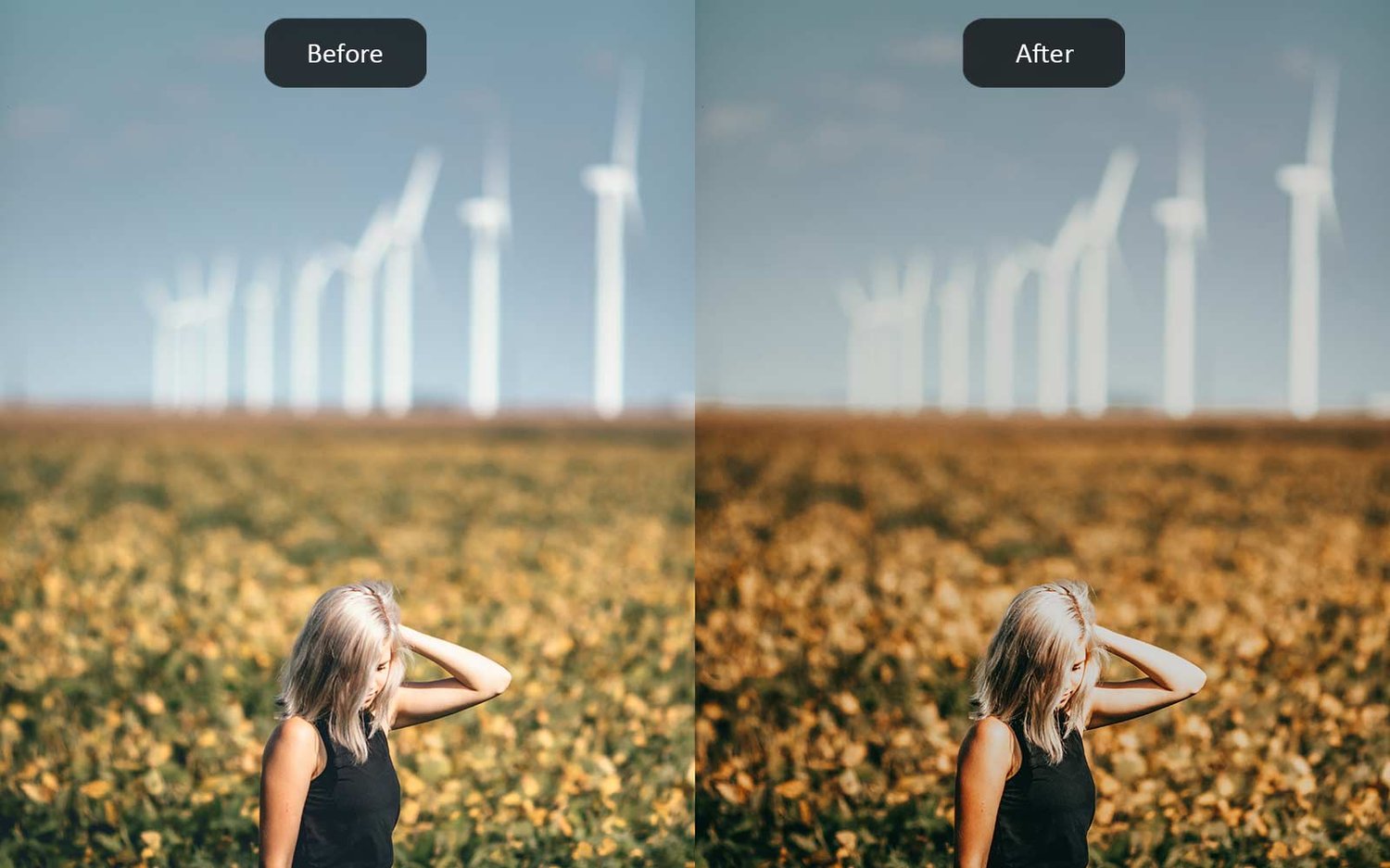Moody - Lightroom Presets - Before-After