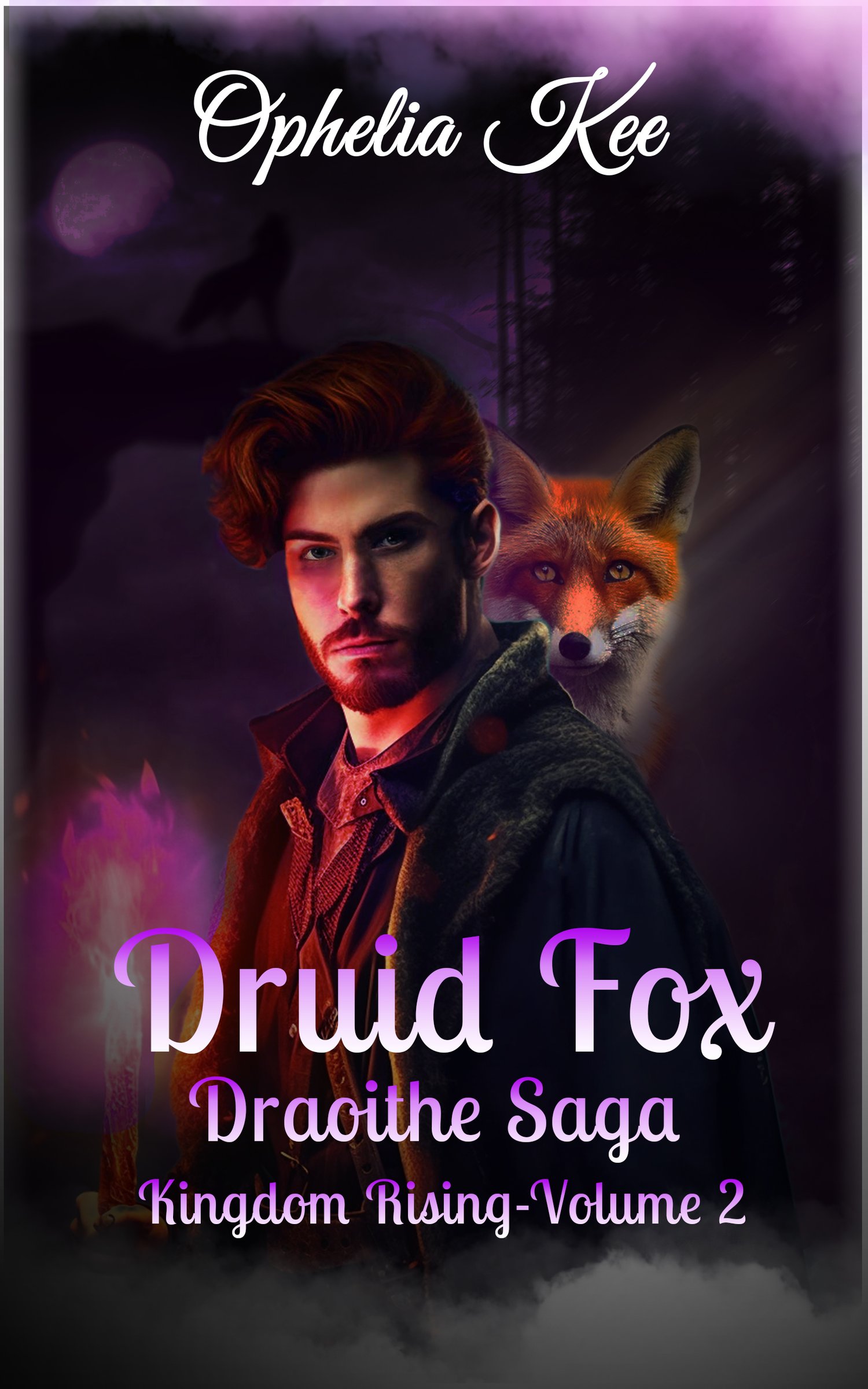 Druid Fox book cover