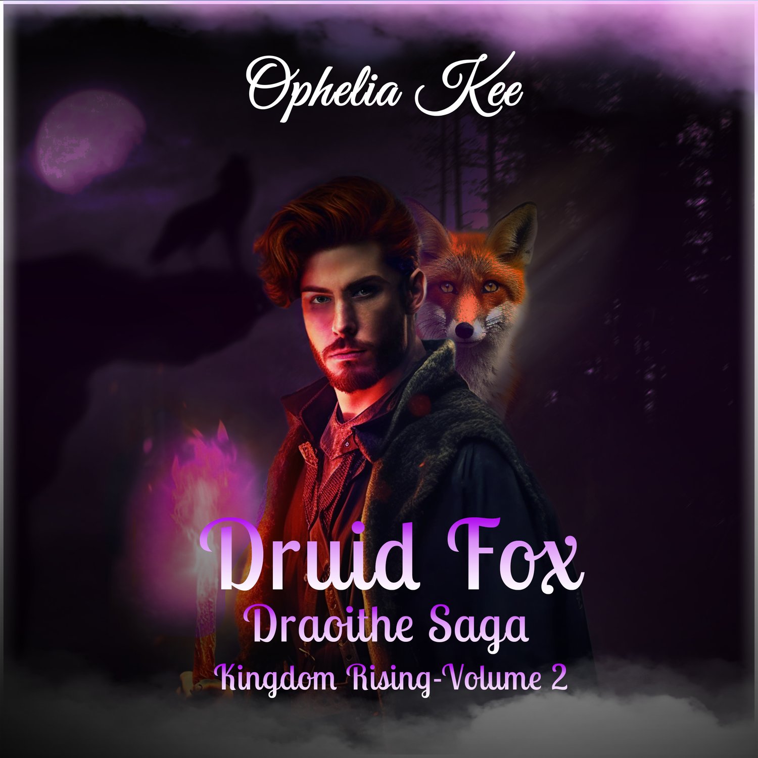 Druid Fox audiobook Cover