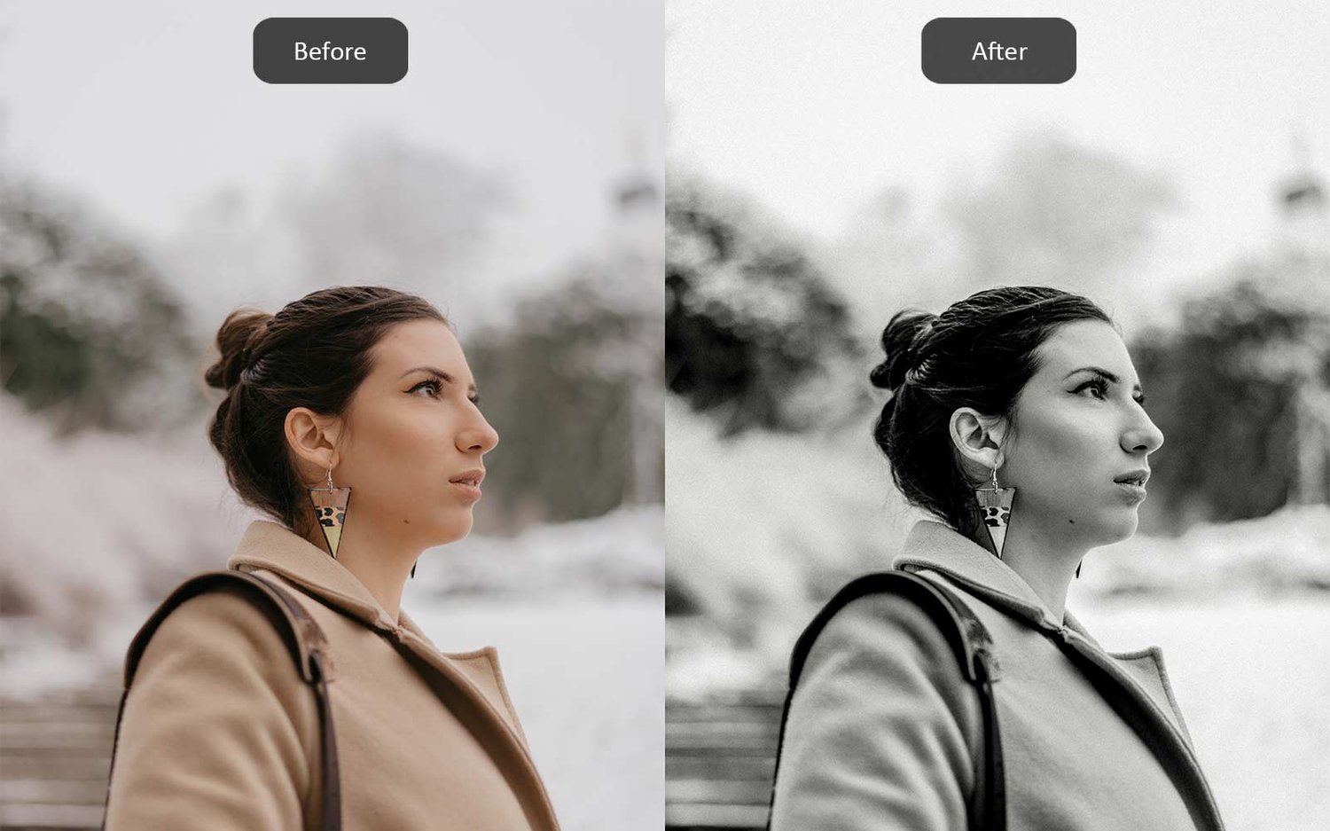 Black & White - Lightroom Presets - Before-After