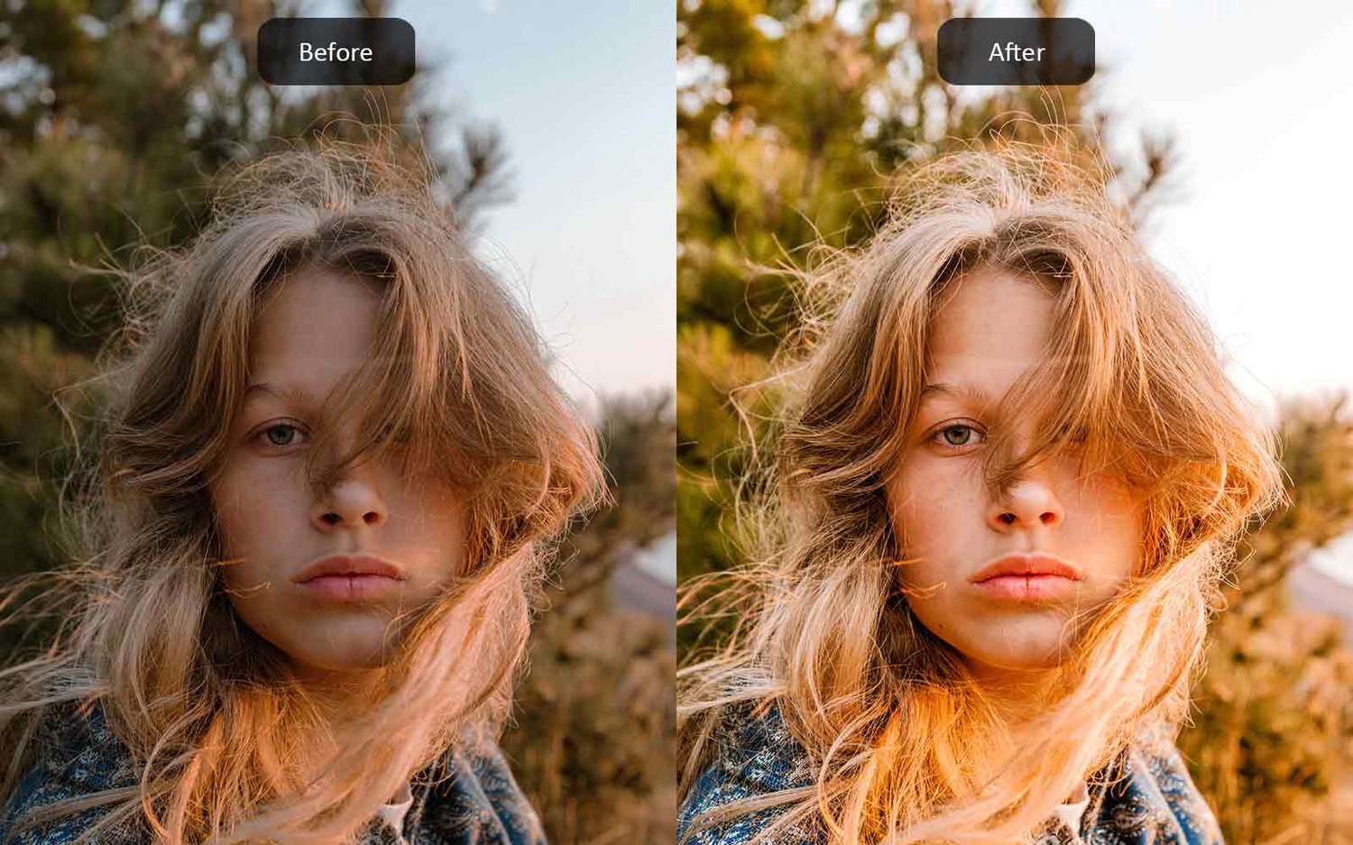 Golden Hour - Lightroom Presets - Before-After