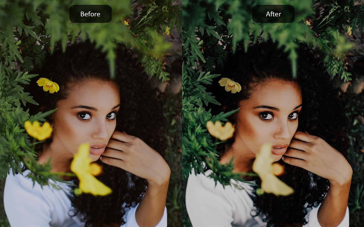 Moody - Lightroom Presets - Before-After