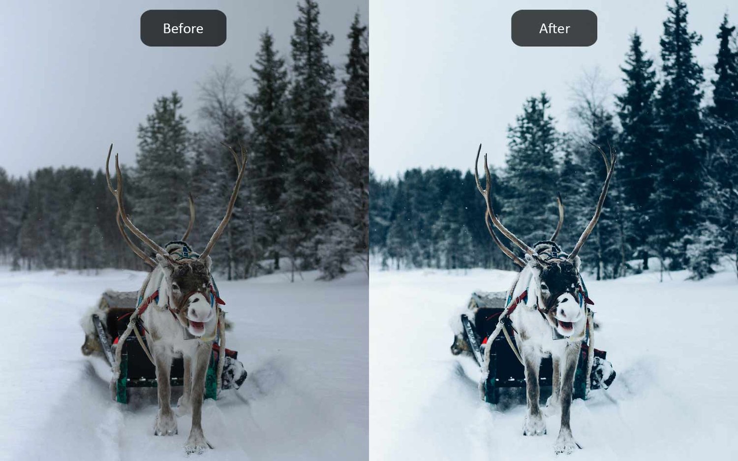 Winter Vibes - Lightroom Presets - Before-After