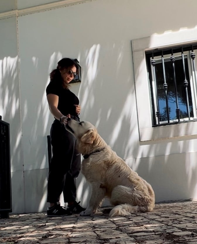 dog trainer, treinadora canina, treinadora de cães, especialista em comportamento canino, especialista canina, educação canina, adestramento canino