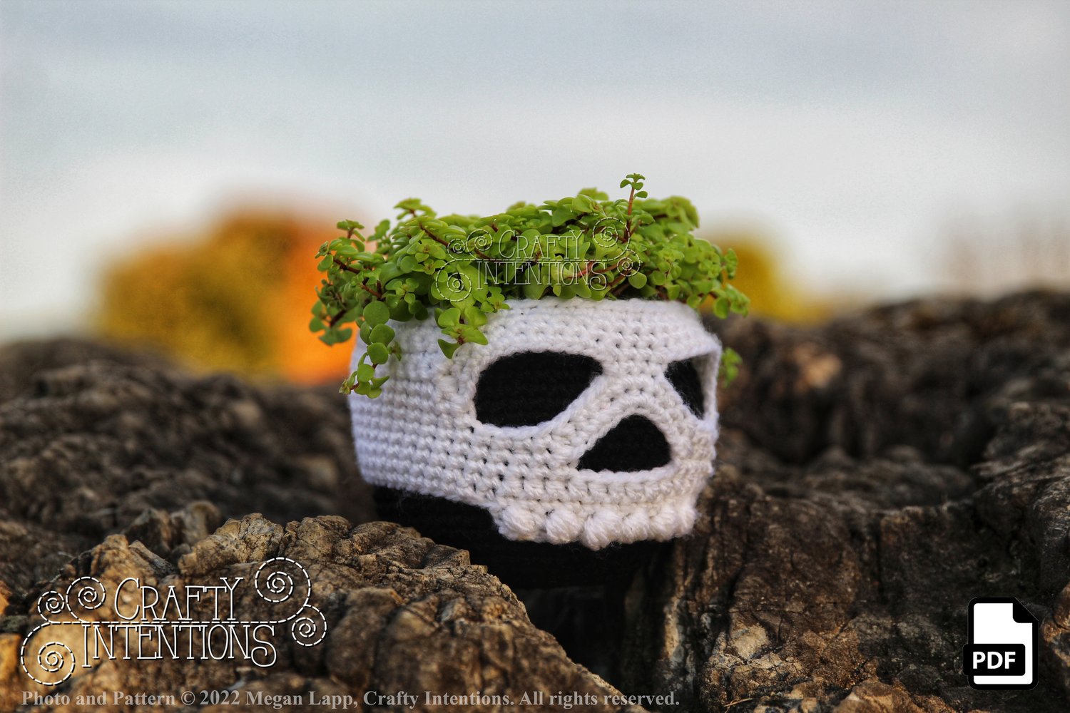 Hanging Skull Planter Pattern