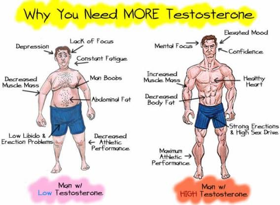 reasons why you need more testosterone