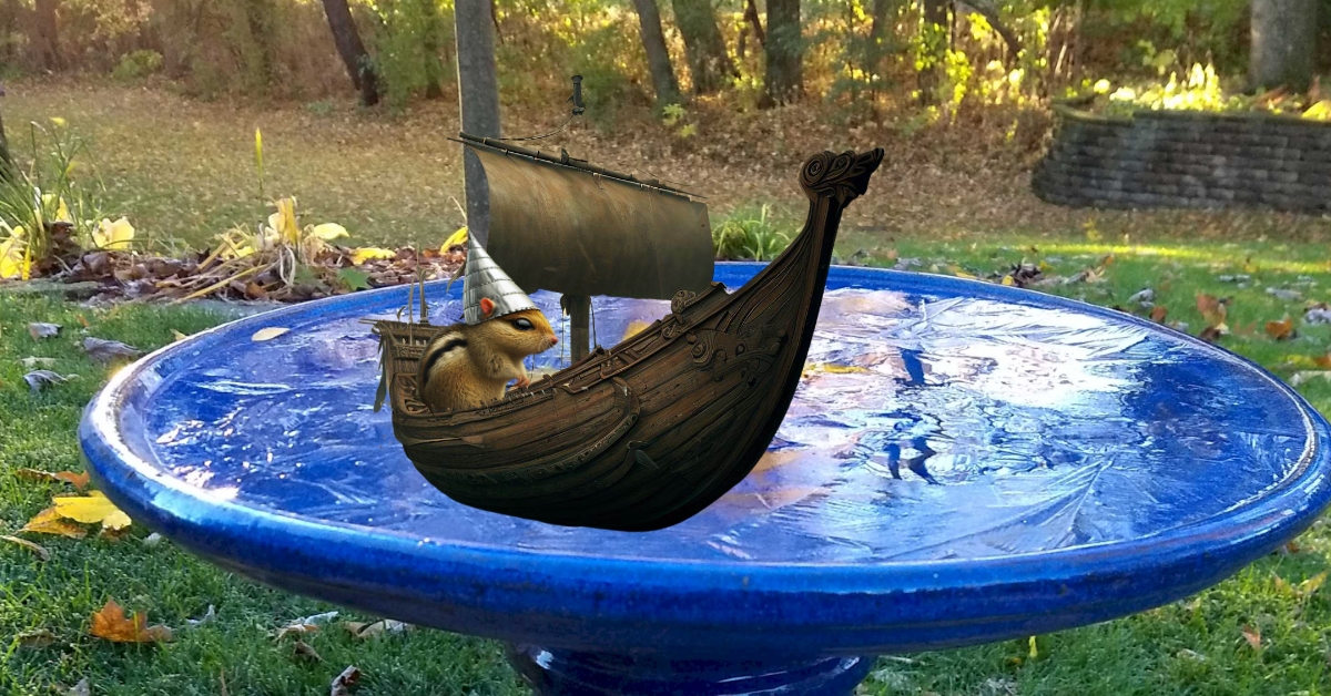 Local chipmunk cruises across bird bath in Viking long boat.