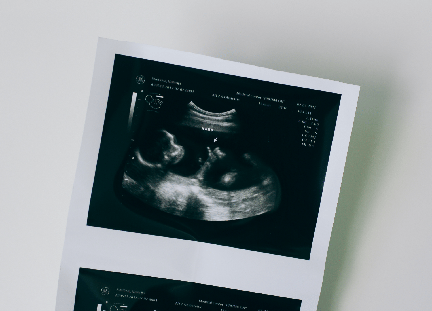 Blossoming Dreams - Fertility and Pregnancy Success - Payhip