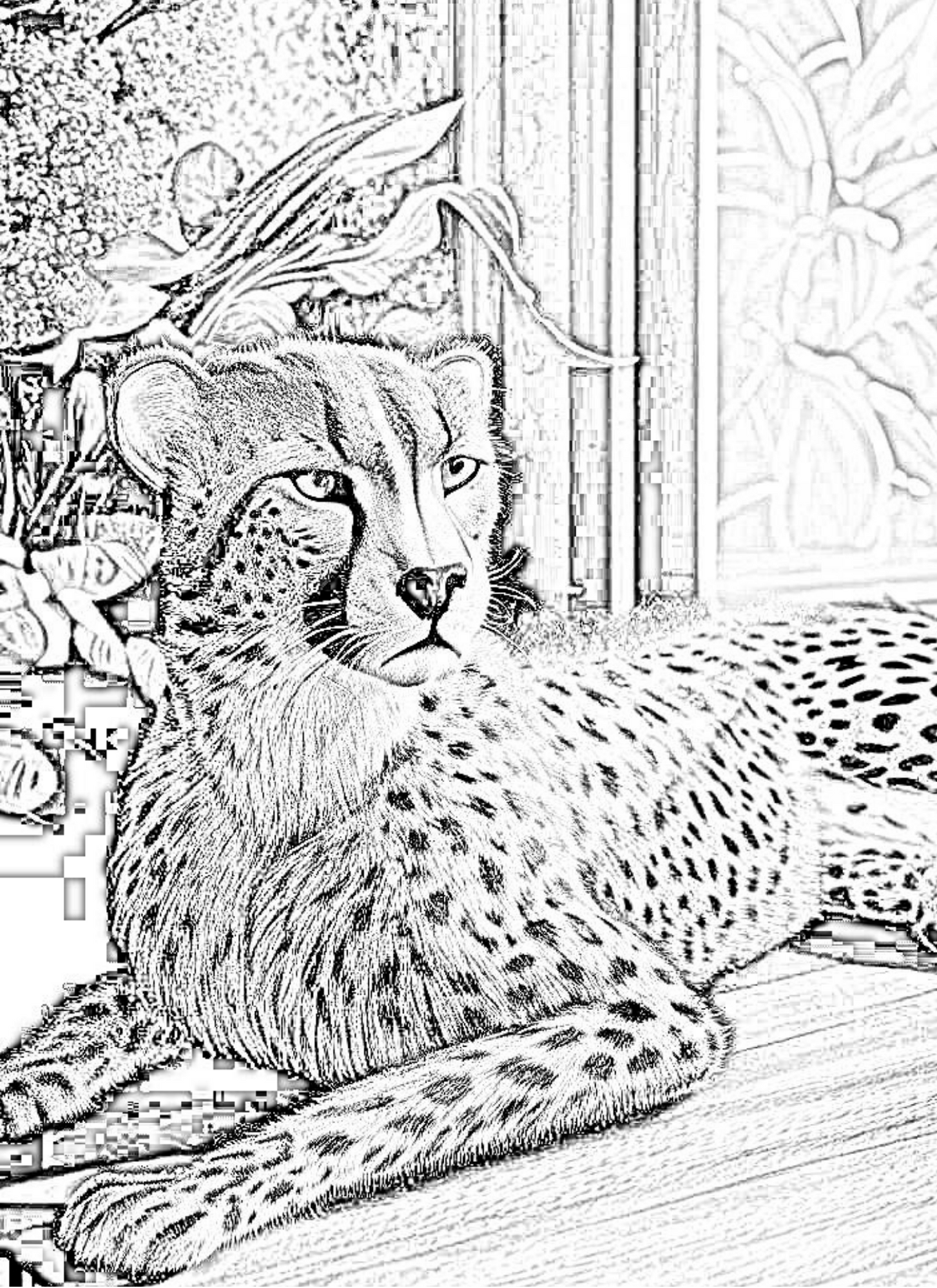 Elevate Your Skills: A4 Size Bear & Bunny Coloring Book - Instant Download