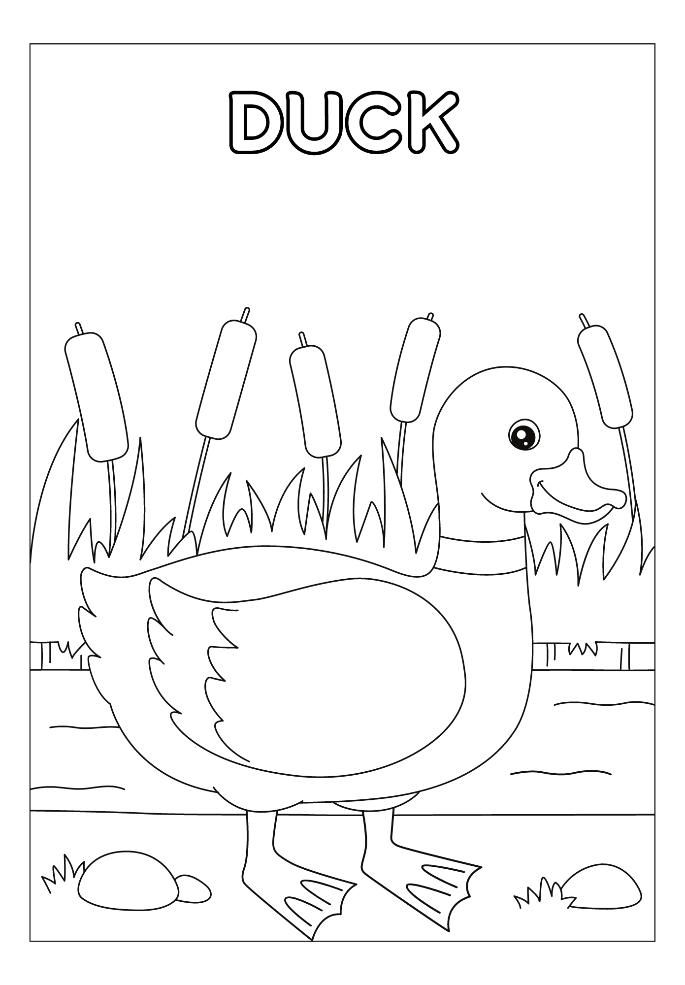 Explore Wildlife: A4 Size Printable Animals Coloring Pages - Instant Download