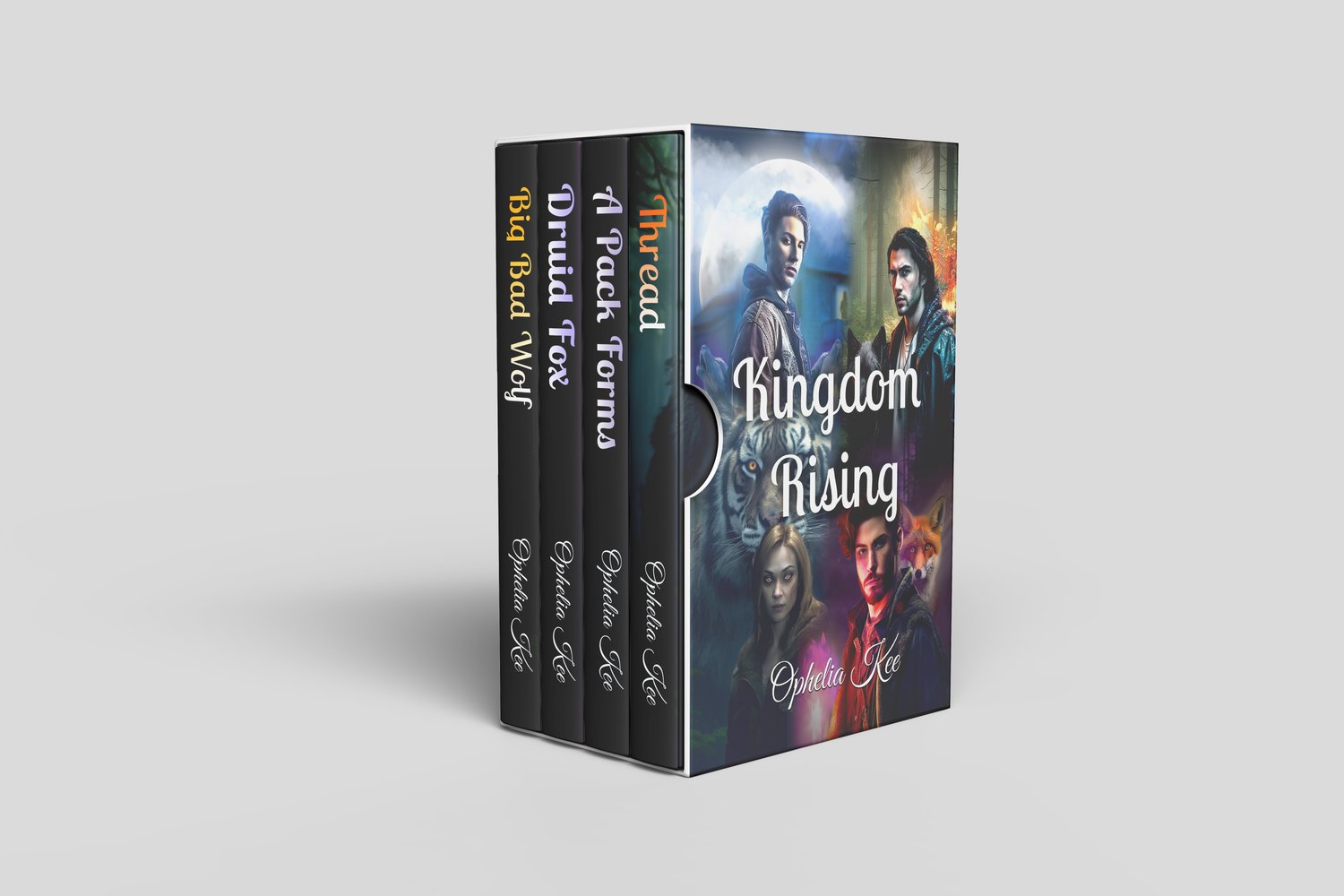 Kingdom Rising Boxed set image