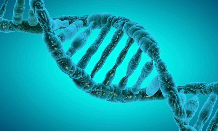 Epigenetics:  How Your Choices Change Your Genes