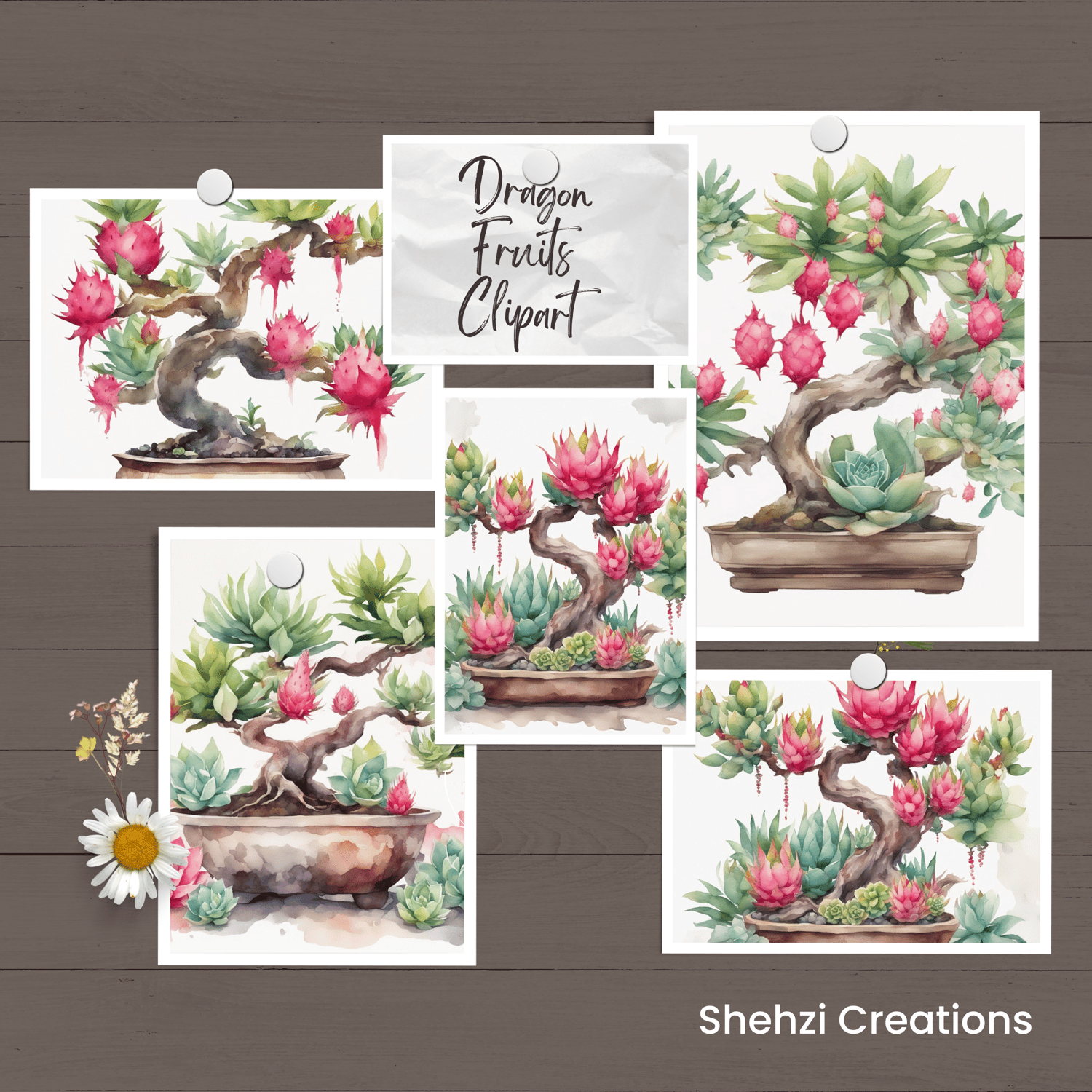 Dragon Fruit Bonsai Plant Clipart | Instant Download