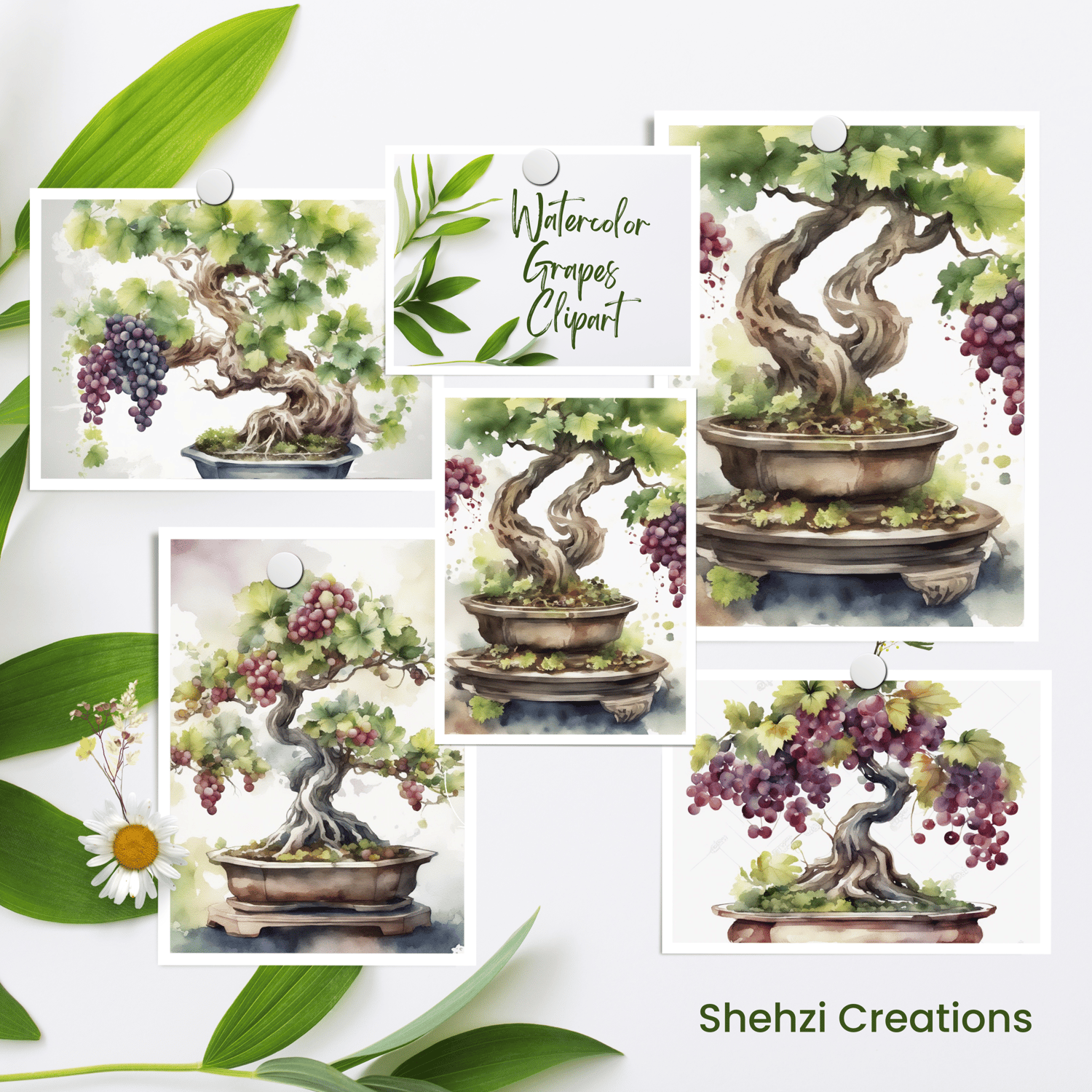 Grapes Fruit Bonsai Plant Clipart | Instant Download