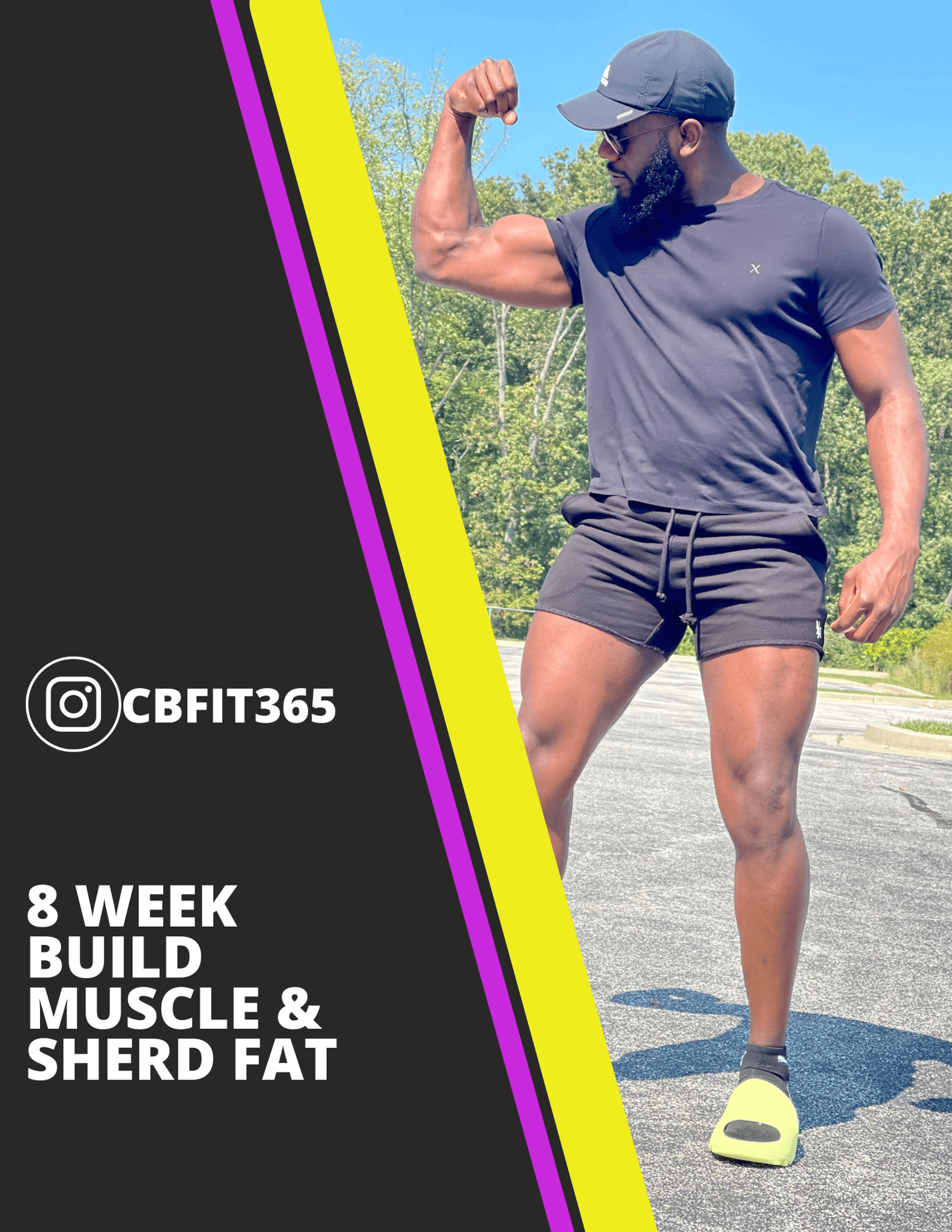Overview: 8 Week Muscle Building Trainer