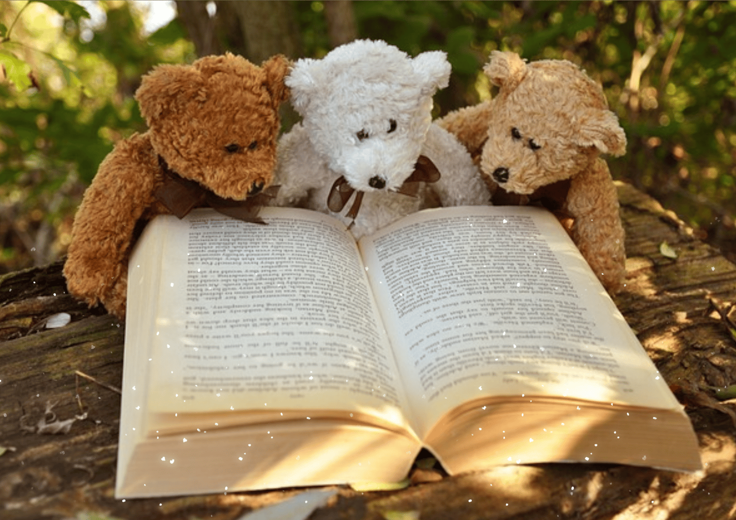 Tres osos de peluche marrón, blanco y rubio sentados en un banco, leyendo una novela