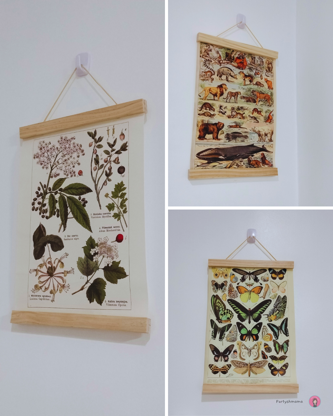 nature Posters | Homeschool Furniture