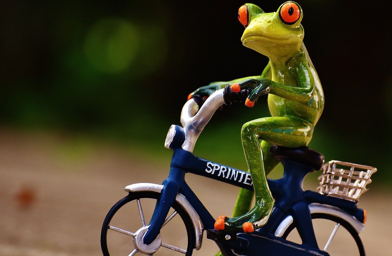 Figurita de rana subiendo cuesta en su bici de juguete