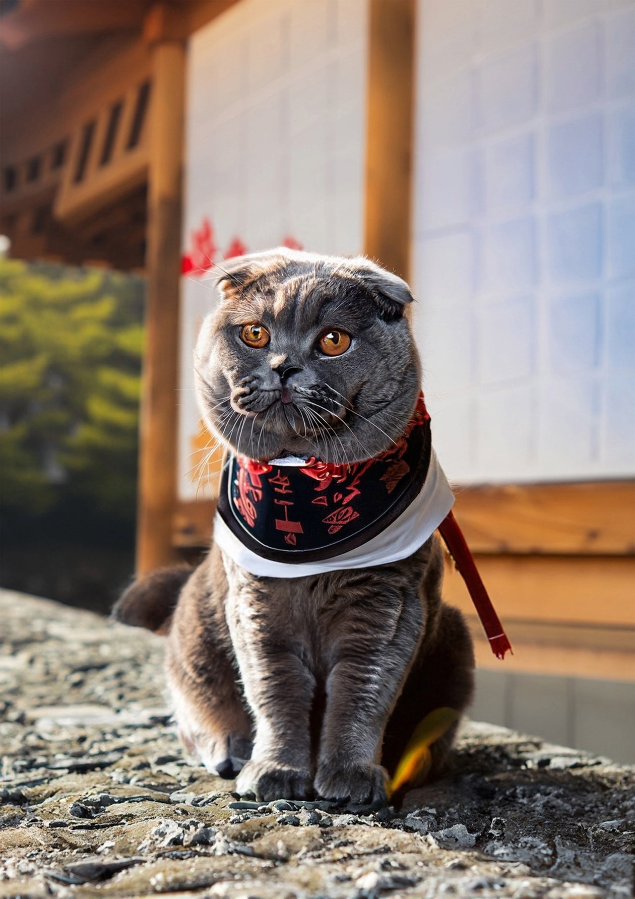 Once upon a time in Kyoto, a Scottish Fold cat named Hanzo became a loyal samurai, guarding the palace with grace and honor, his whiskers sharp as his katana.     Immerse yourself in a timeless tale with our digital art masterpiece, 'Honorable Hanzo: The 