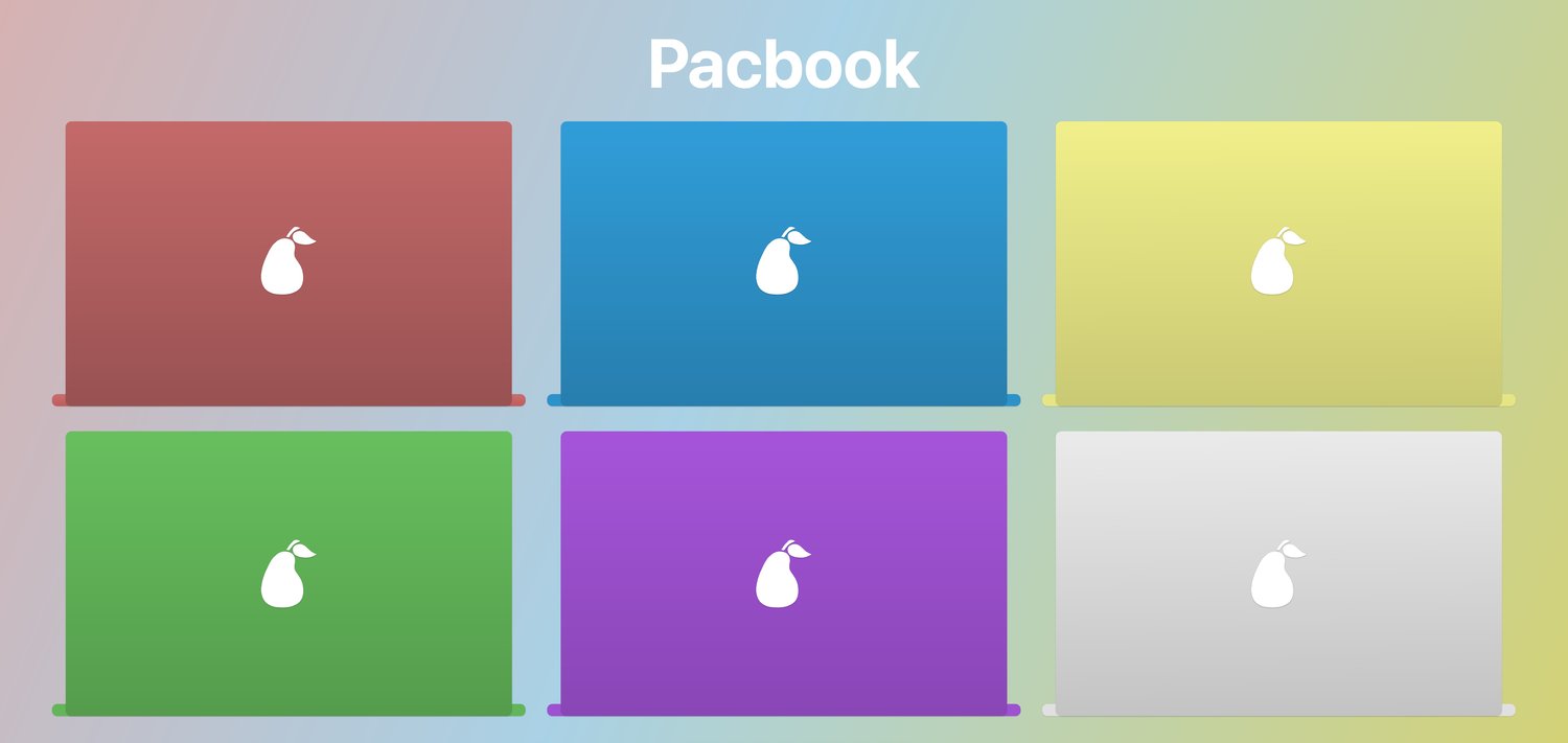 back of the pacbook