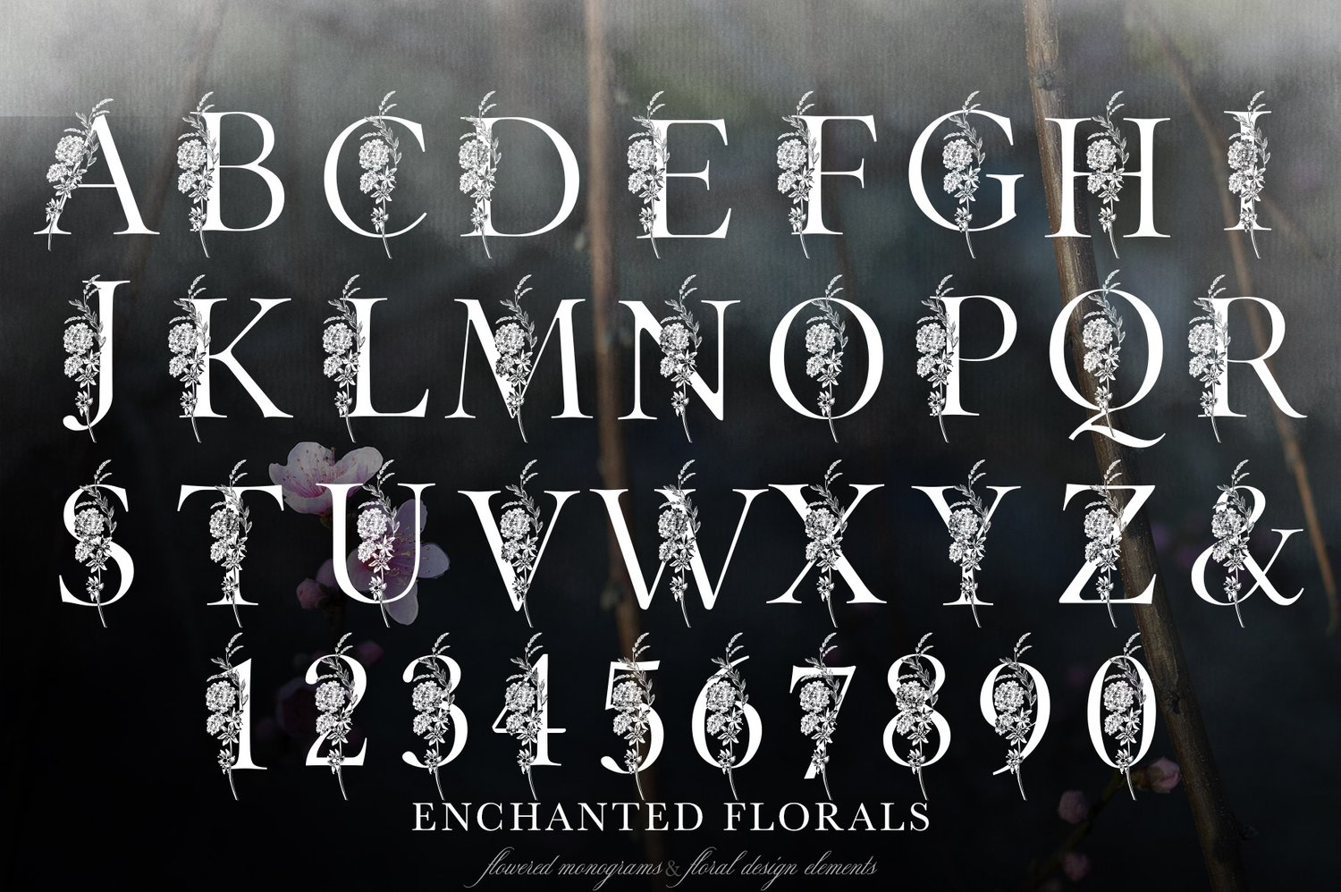 Enchanted Florals Monogram set hand-drawn set of flowered monograms and floral design elements