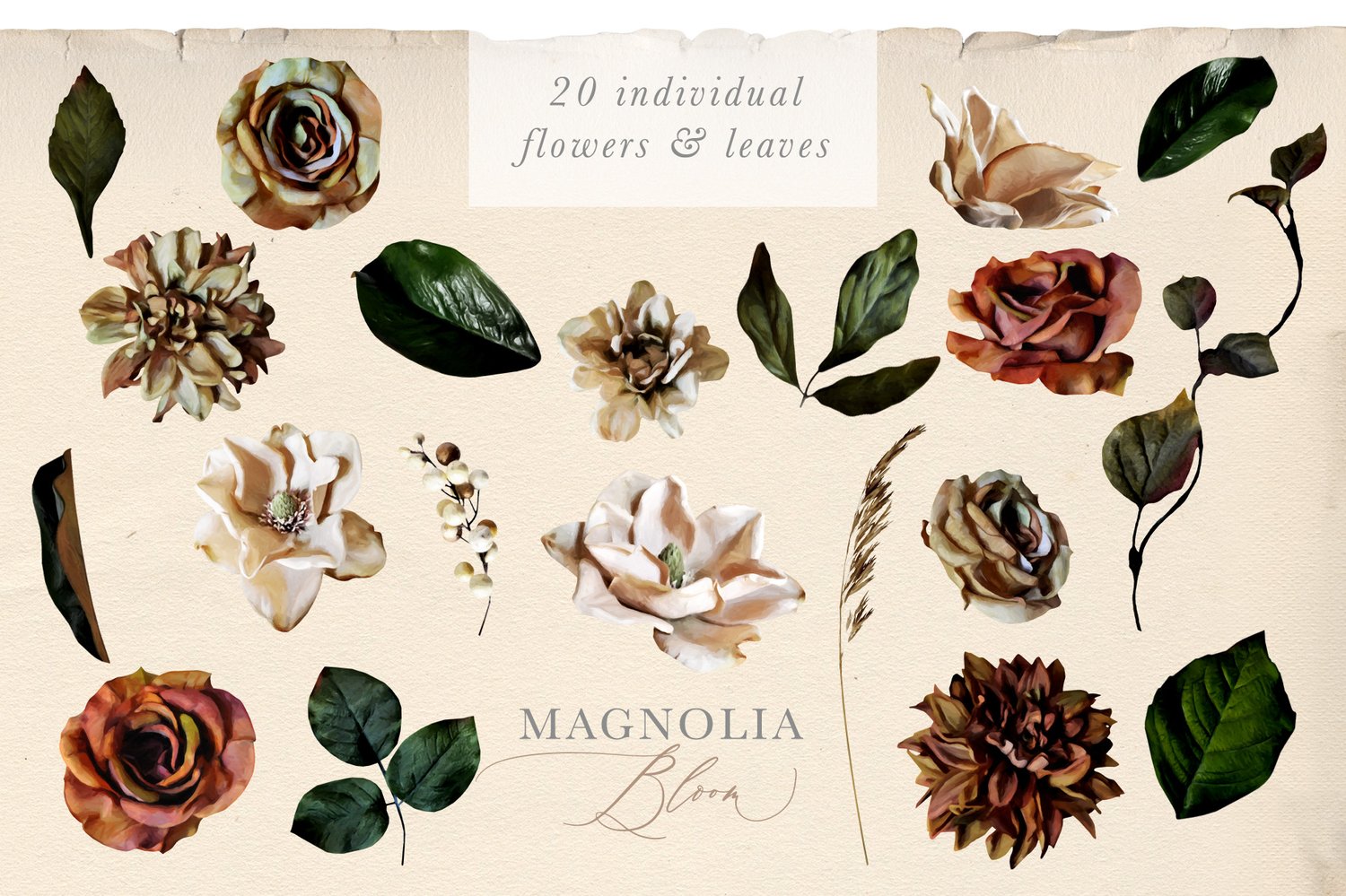 Magnolia bloom floral graphics Beautiful painted magnolia flowers and leaves as well as roses
