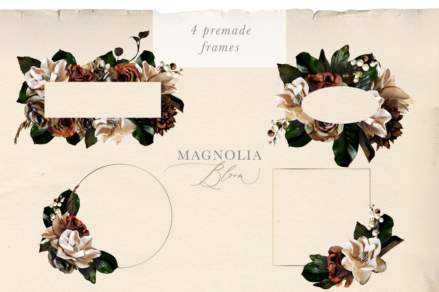 Magnolia bloom floral graphics Beautiful painted magnolia flowers and leaves as well as roses