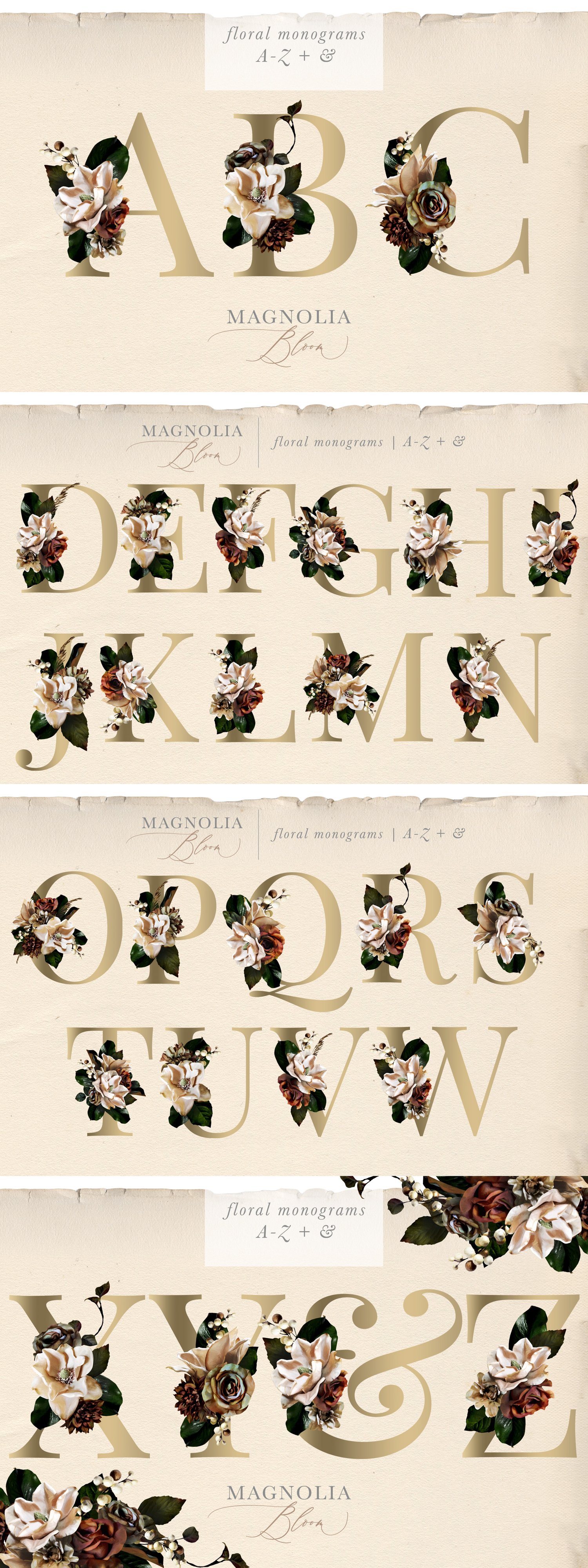 Magnolia bloom floral graphics Beautiful painted magnolia flowers and leaves as well as roses