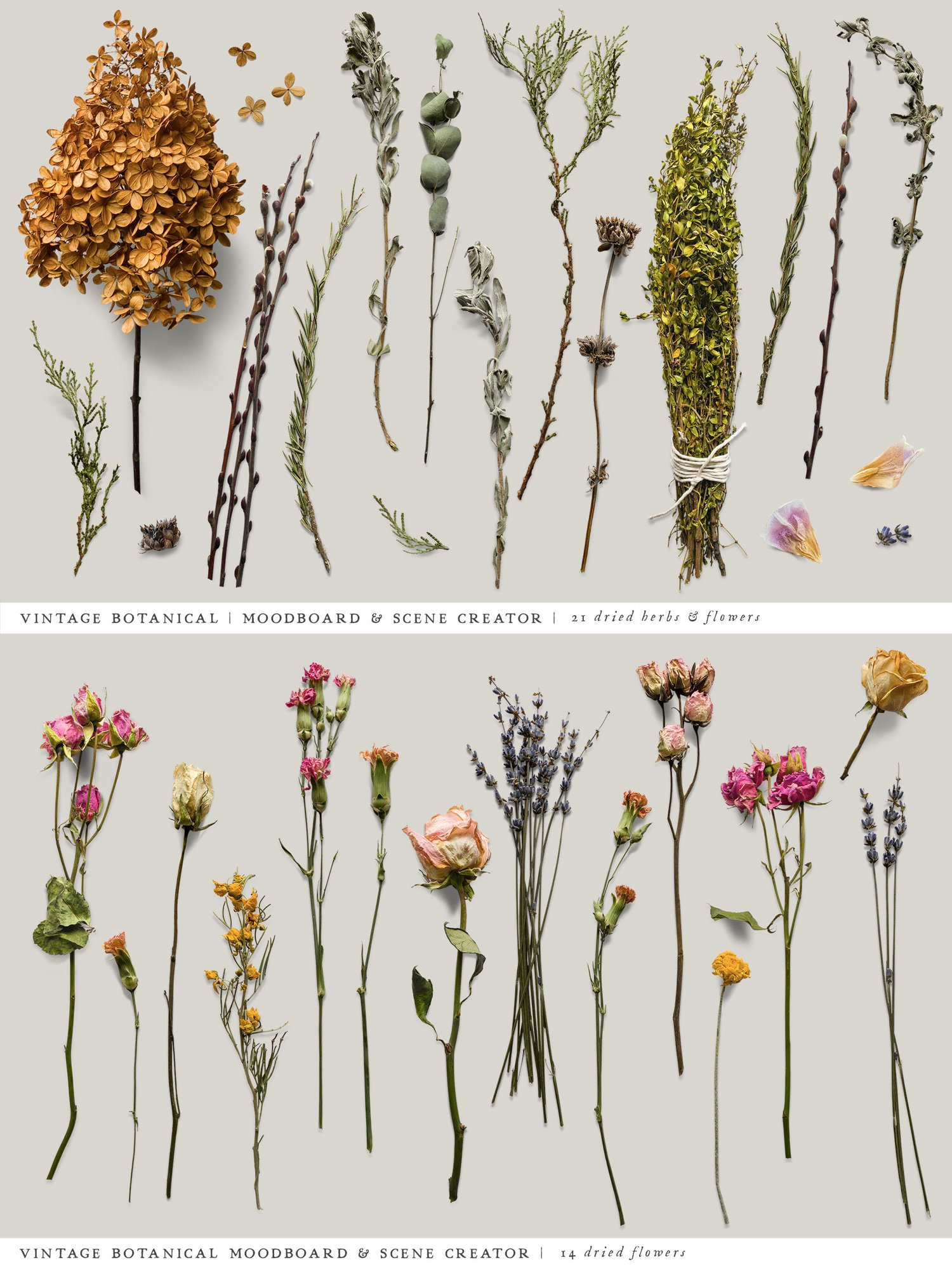 Vintage Botanical Moodboard & Scene Creator